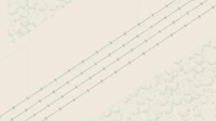 Map screenshot showing Rail Lines 