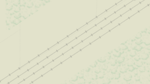 Map screenshot showing Rail Lines 