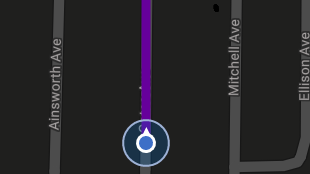 Map screenshot showing Route Lines 