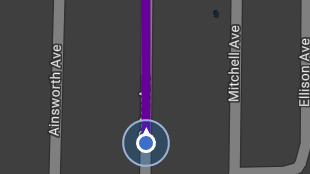 Map screenshot showing Route Lines 