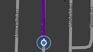 Map screenshot showing Route Lines 