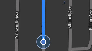 Map screenshot showing Route Lines 